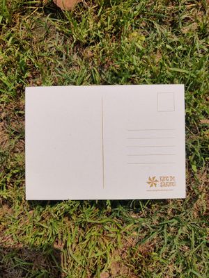 Love Knows no Boundaries Postcard